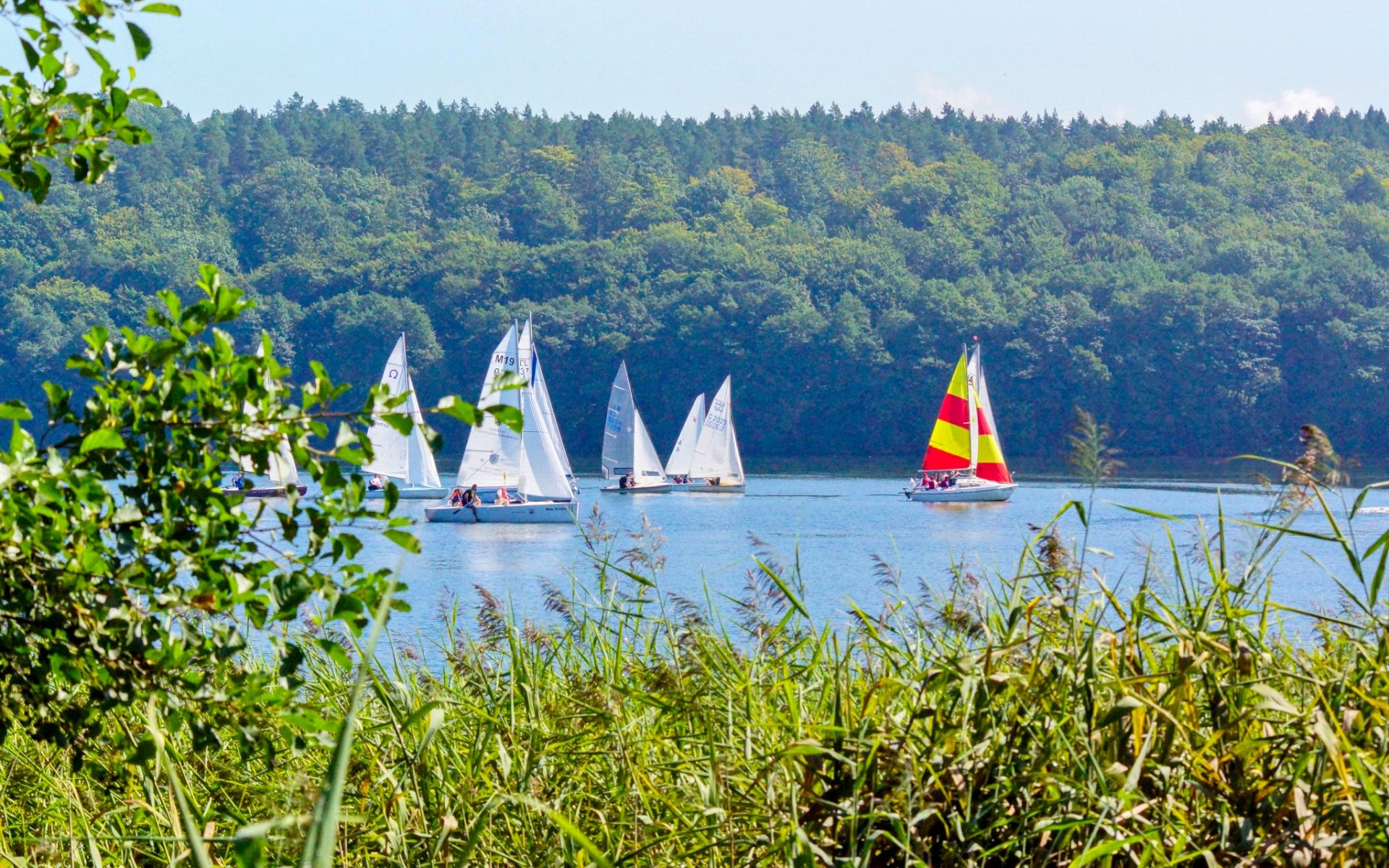 Regaty „O najszybszą łódkę jeziora Lubowidz 2025”