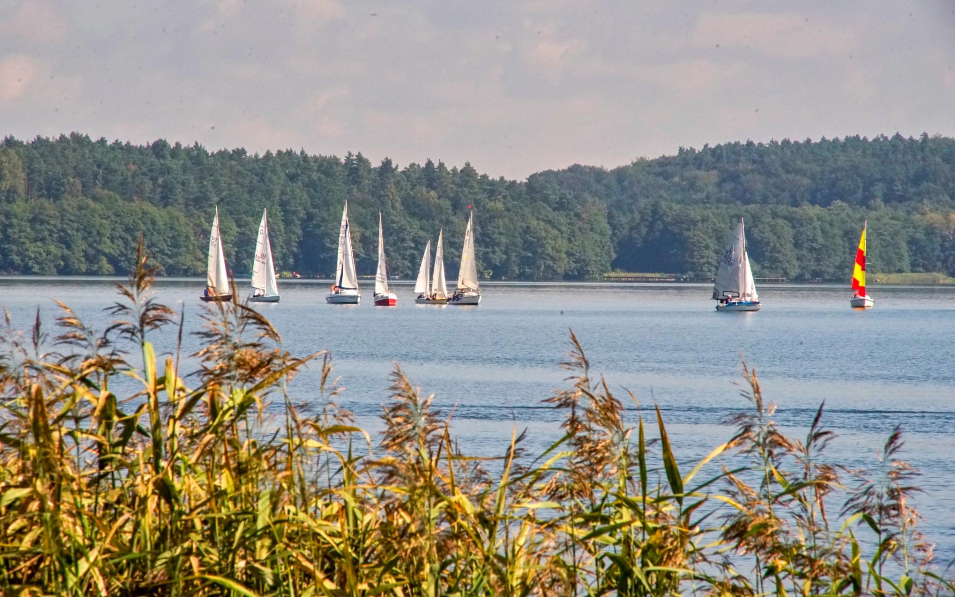 Regaty „O najszybszą łódkę jeziora Lubowidz 2025”